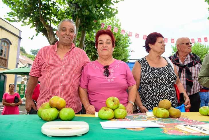 Fiesta de la manzana de Valleseco