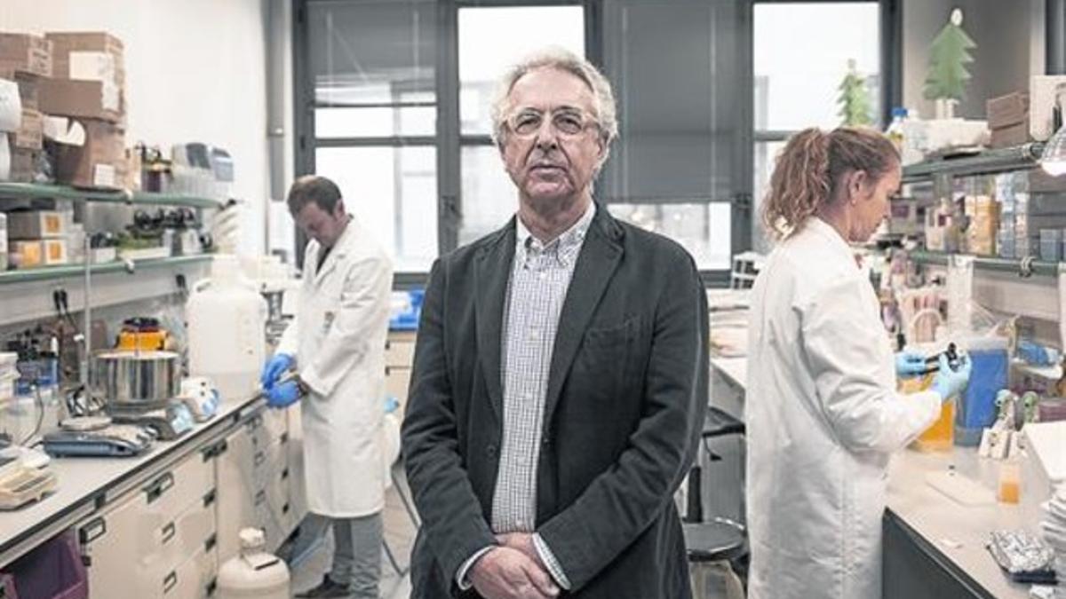 Investigador 8Guinovart, en un laboratorio del Institut de Recerca Biomèdica (IRB), que dirige.
