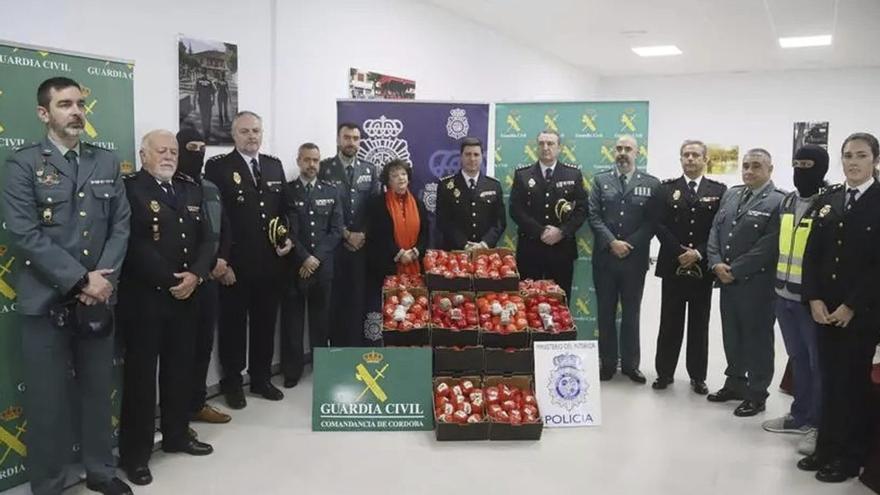 Intervenidas en Córdoba más de 22 toneladas de hachís camuflado en falsos tomates con destino a Francia