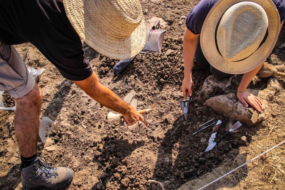 Excavaciones en el Cabeçó de Mariola