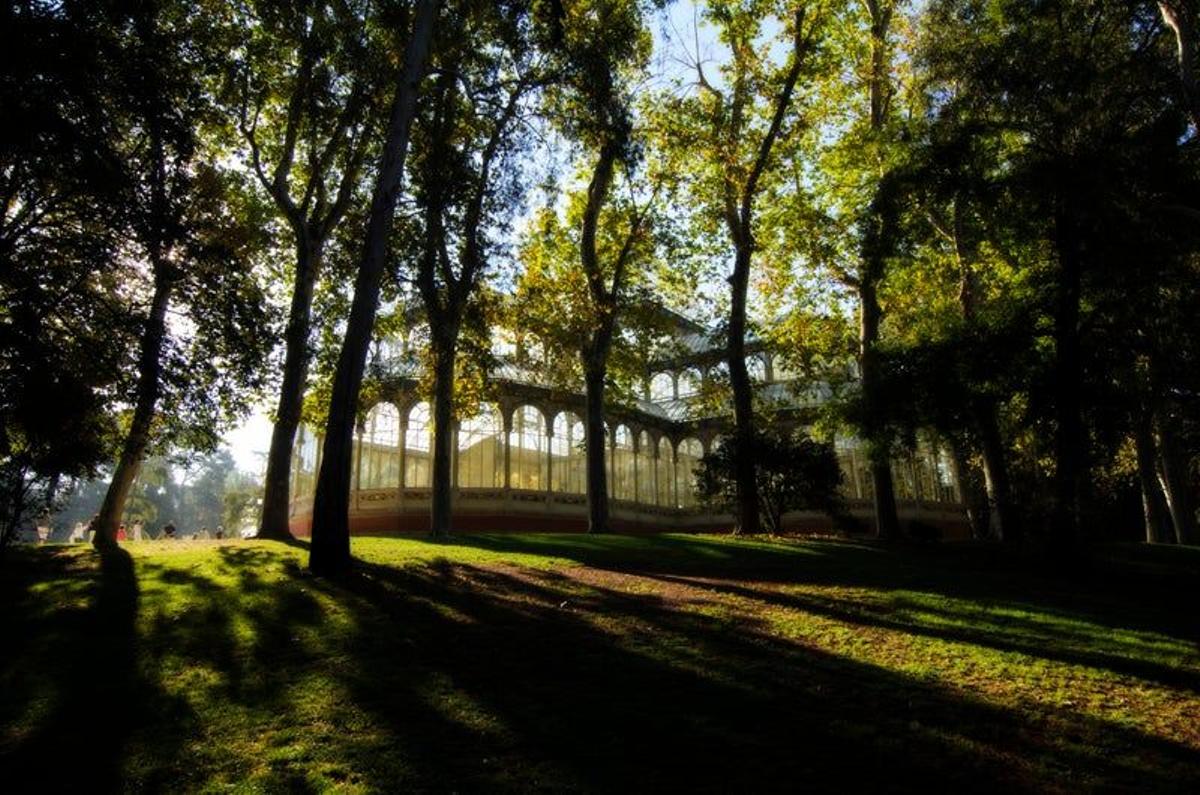 #2- Parque del Retiro - Madrid