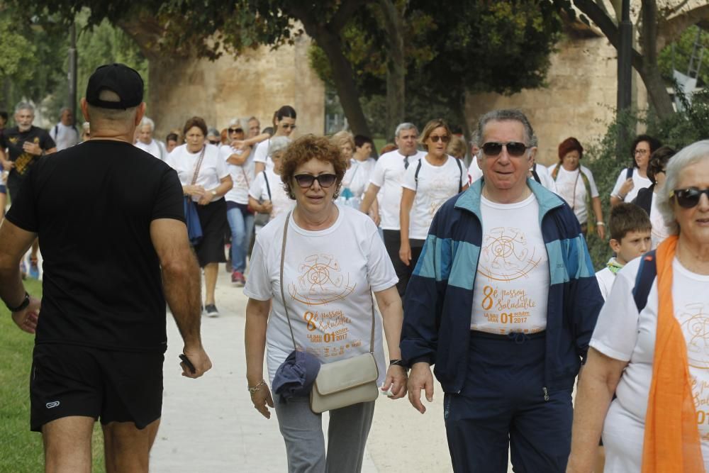 Paseo saludable por el Día Internacional de las Personas Mayores