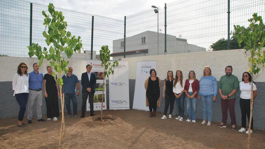 El CEIP Las Dunas, pionero en un plan para plantar árboles en los colegios canarios