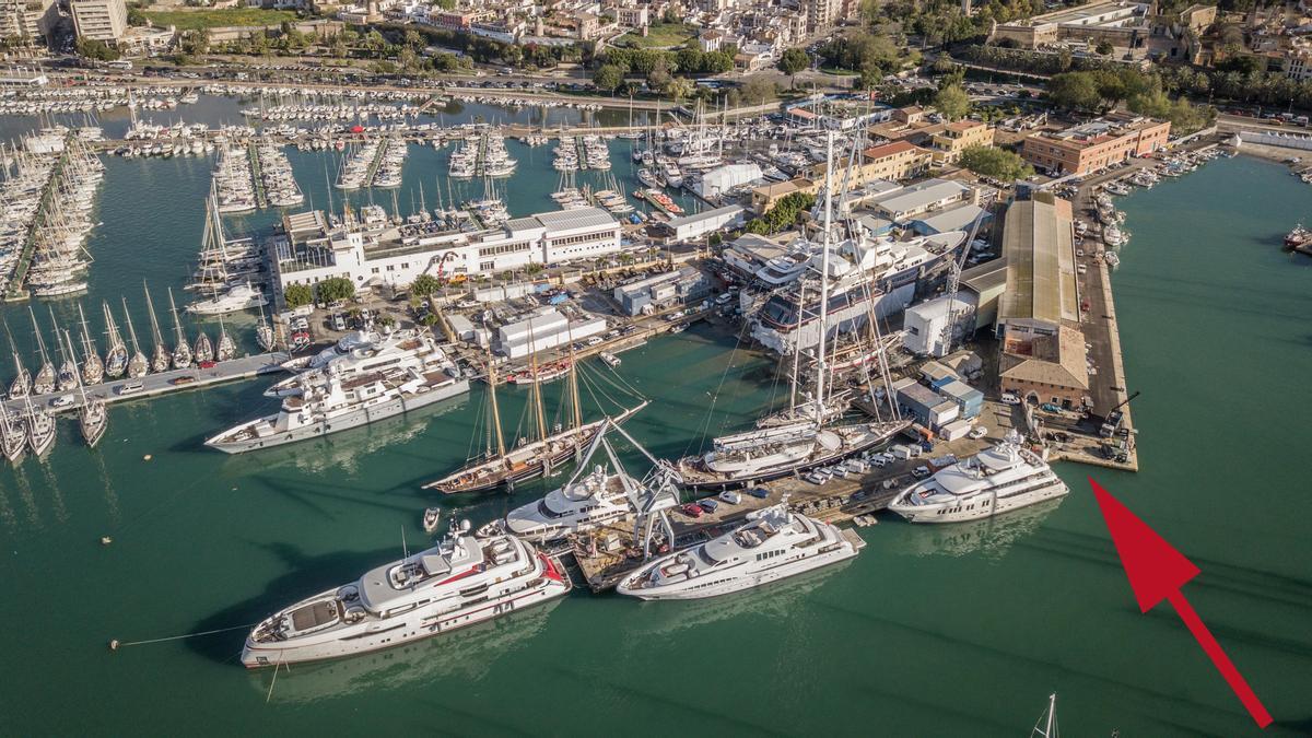 Inteligencia artificial contra la contaminación marina