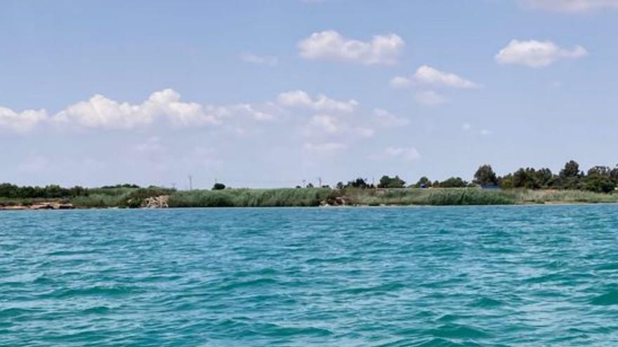 El Mar Menor y la máquina de la verdad