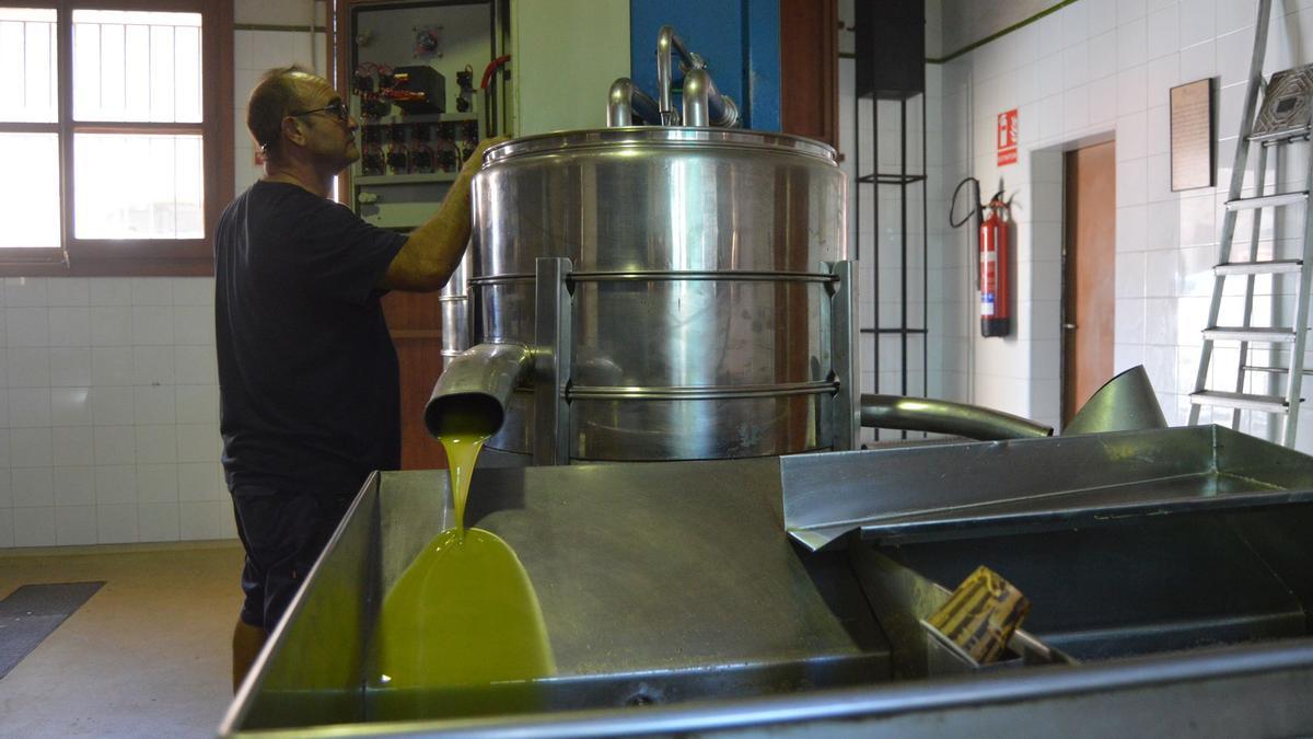 Una imagen del proceso de producción de aceite de oliva.