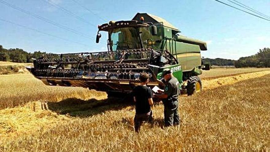 Es manté el nombre d&#039;incendis vinculats a l&#039;activitat agrària