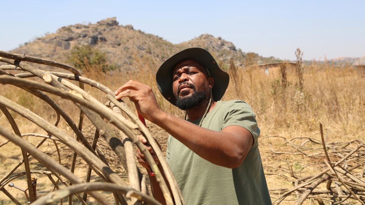 Artistas de Zimbabue convierten plantas invasoras en esculturas fantásticas