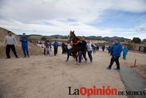 Inauguración cuesta de entrenamiento de los Caballos del Vino