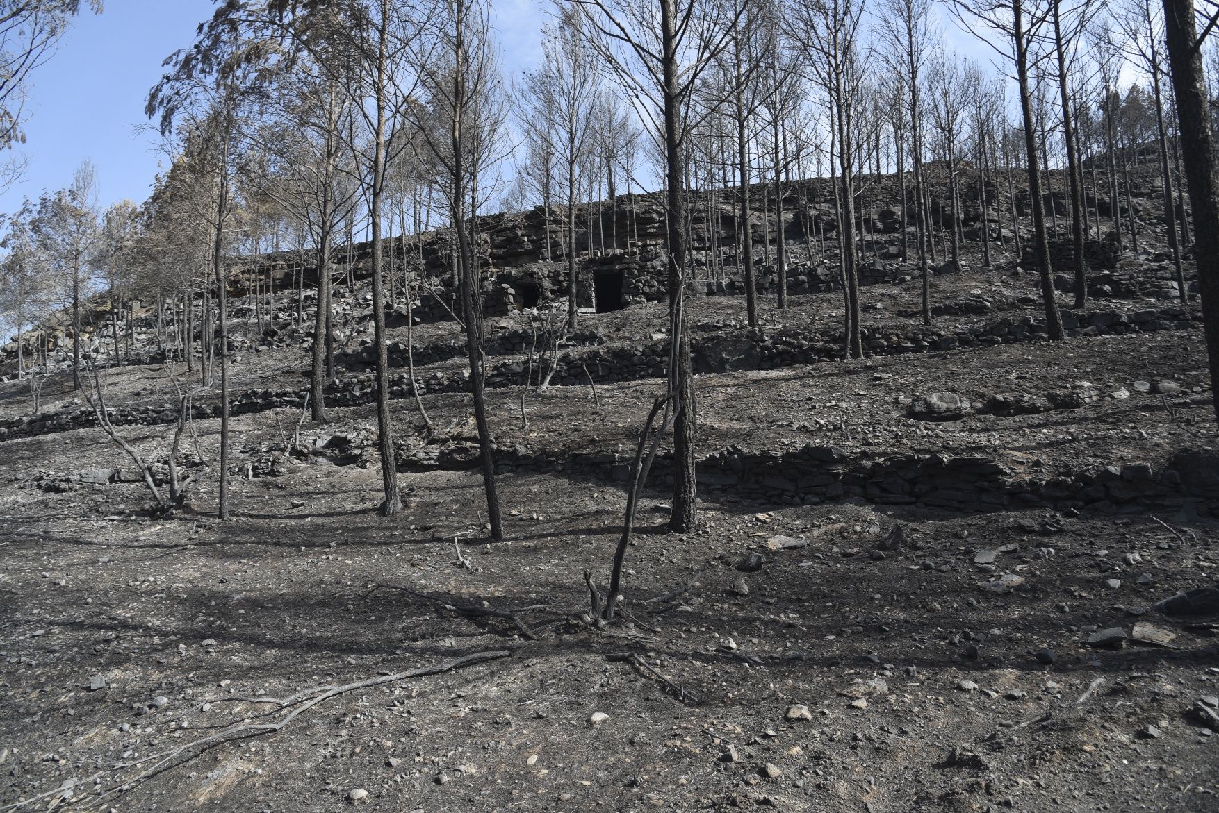 Així ha afectat el foc les tines de la Vall del Flequer