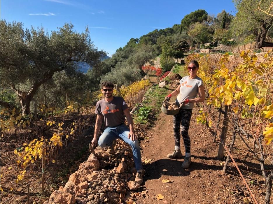 Trockensteinmauern auf Mallorca.