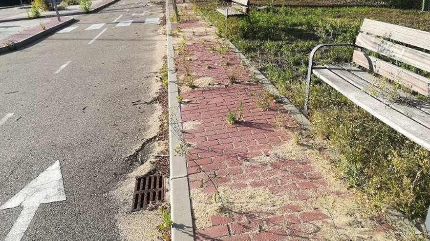 Suciedad y malas hierbas en las aceras del Centro de Educación Vial.