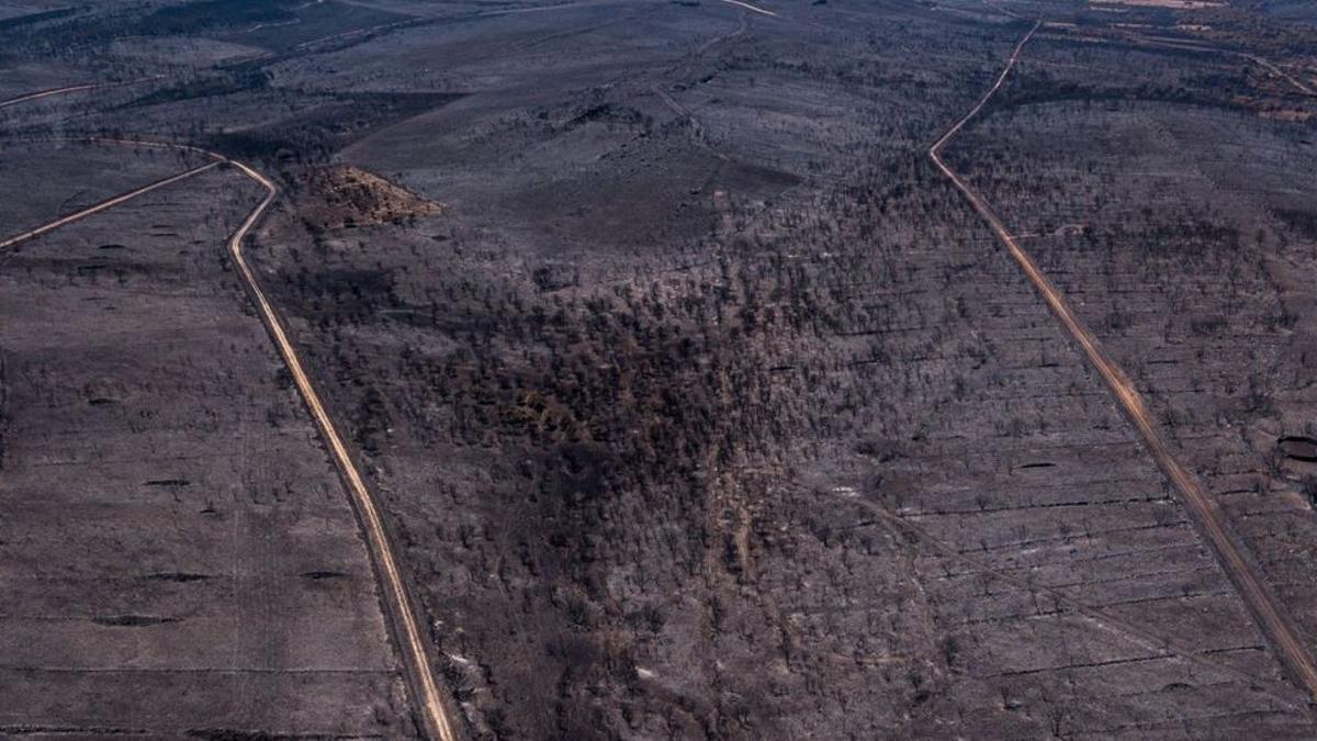 Imagen aérea de una de las zonas calcinadas, cerca de San Martín de Tábara. | Emilio Fraile | EMILIO FRAILE