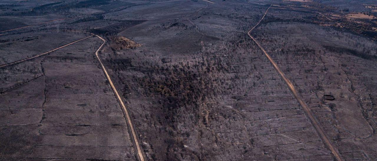 Imagen aérea de una de las zonas calcinadas, cerca de San Martín de Tábara. | Emilio Fraile | EMILIO FRAILE