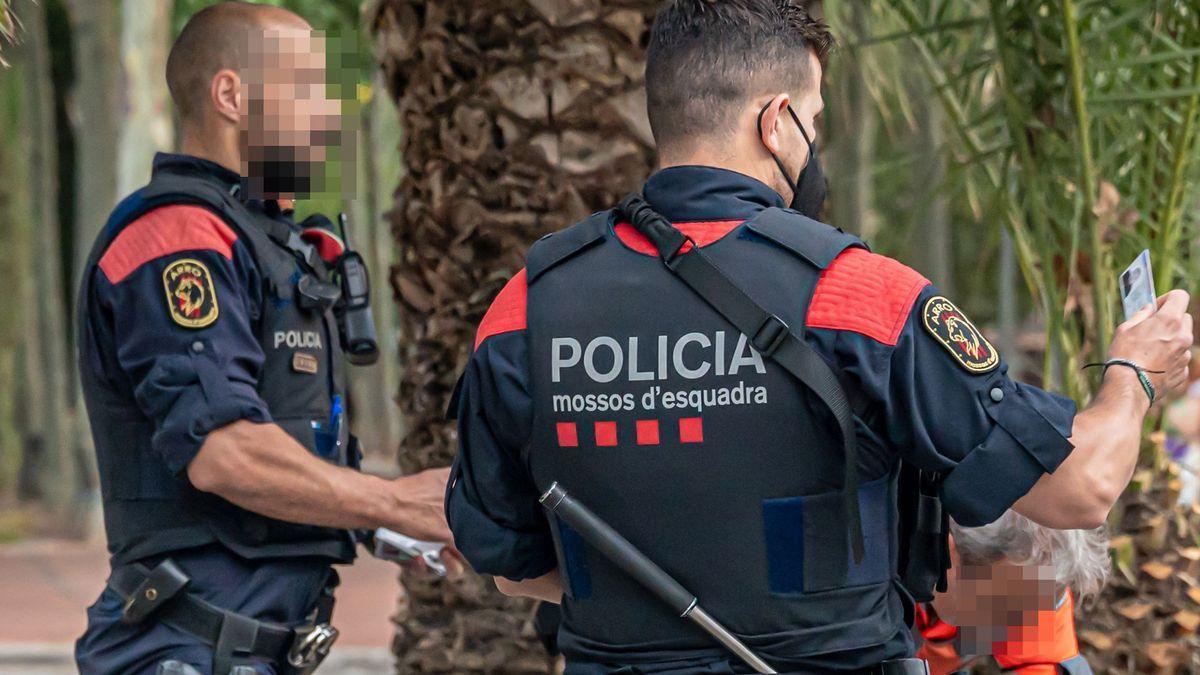 Cinc detinguts per assaltar una festa de traficants per robar-los la droga