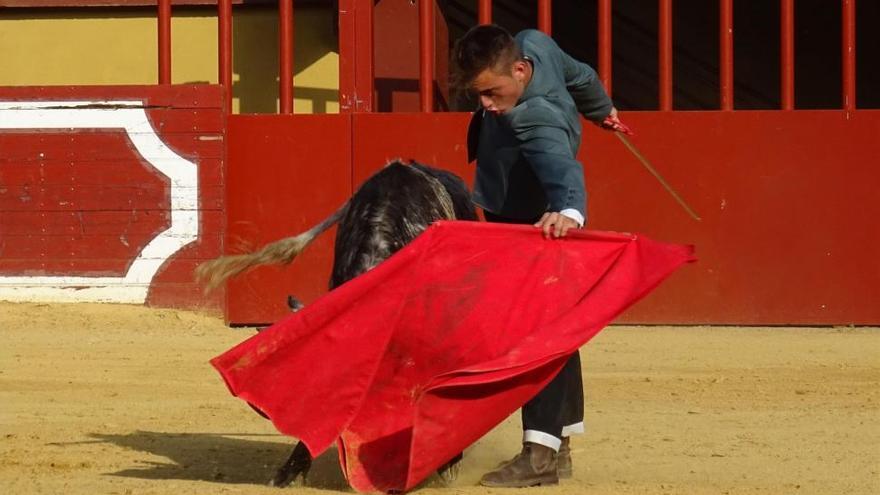 Jesús Cuesta, David Martínez y Jorge Rivera, finalistas del Bolsín Taurino de la Diputación