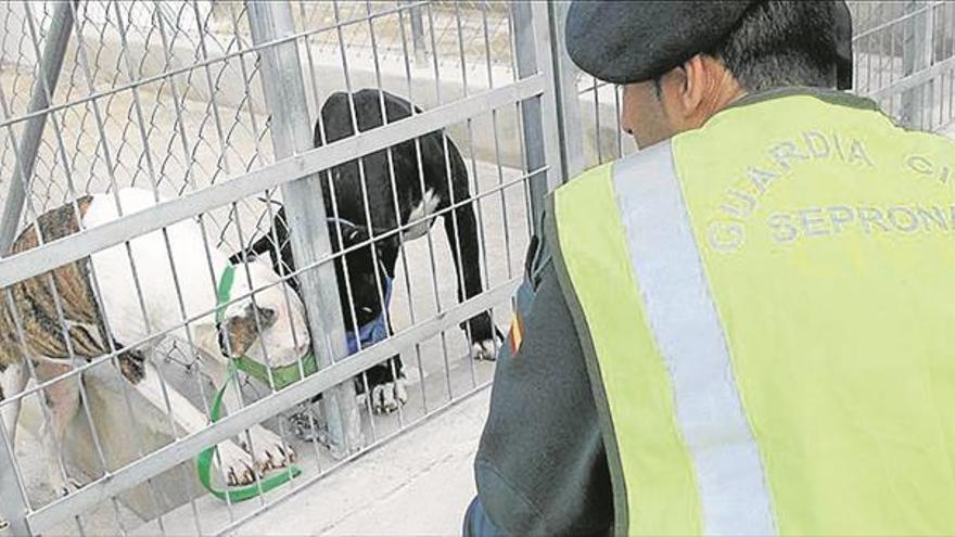 Un hombre muere por el ataque de cinco perros de raza peligrosa