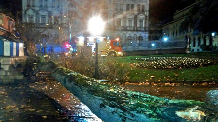 La caída de un árbol destroza el Escorialín en Oviedo