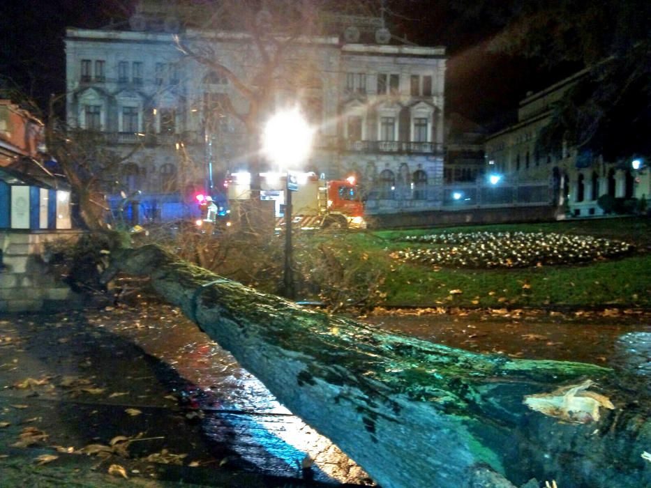 Daños en El Escorialín por el viento.