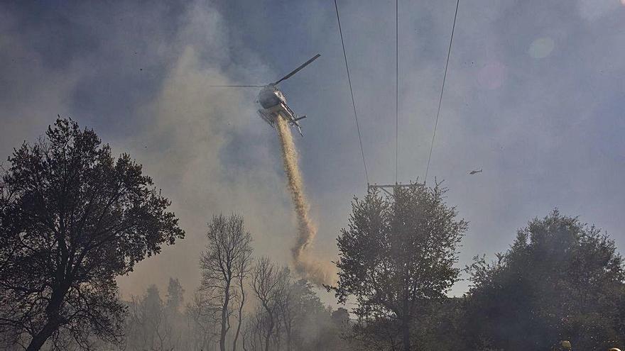 L&#039;incendi que va afectar una àrea boscosa entre Caldes i Sils, aquest estiu.