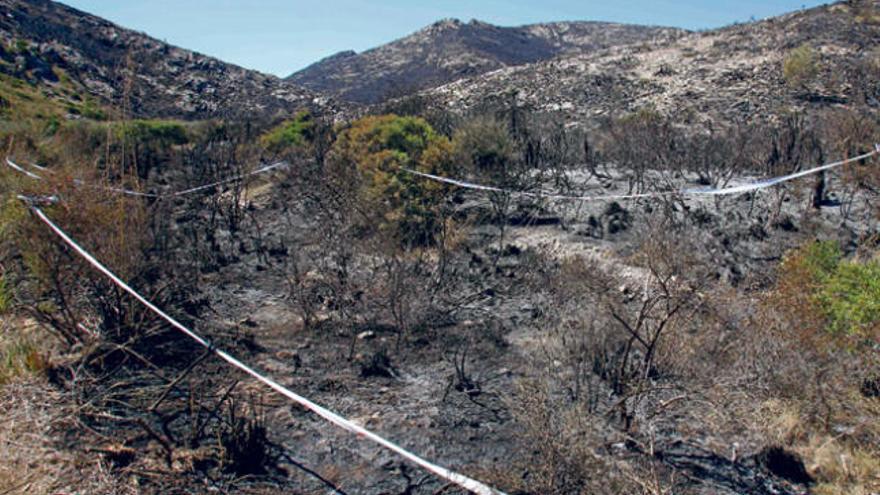 El punto donde se inició el fuego el martes por la noche, en un torrentera muy próxima a la playa de Cala Torta, acordonado a la espera de que los agentes de la Guardia Civil lo inspeccionaran.