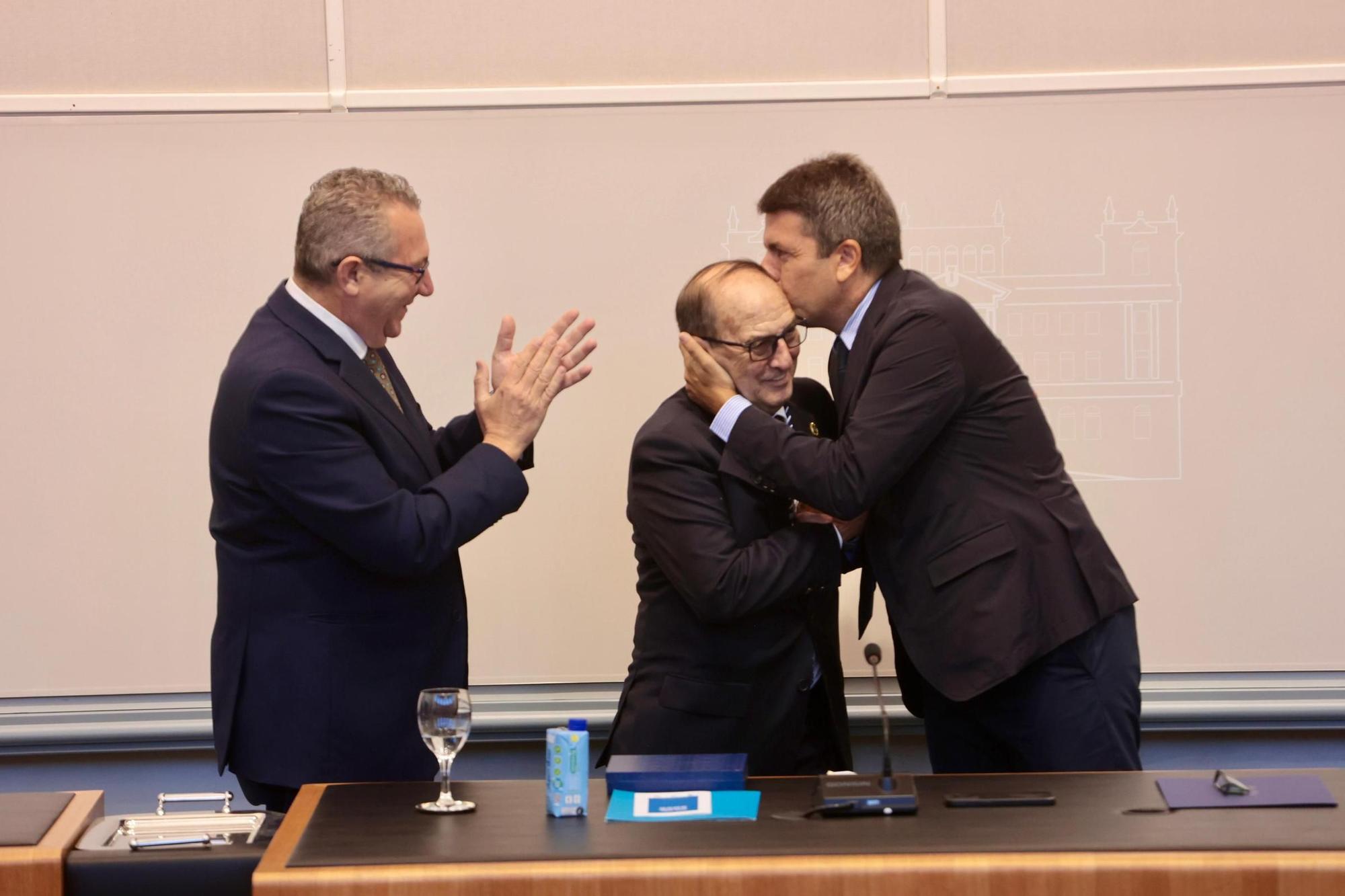 Alicantino de adopción