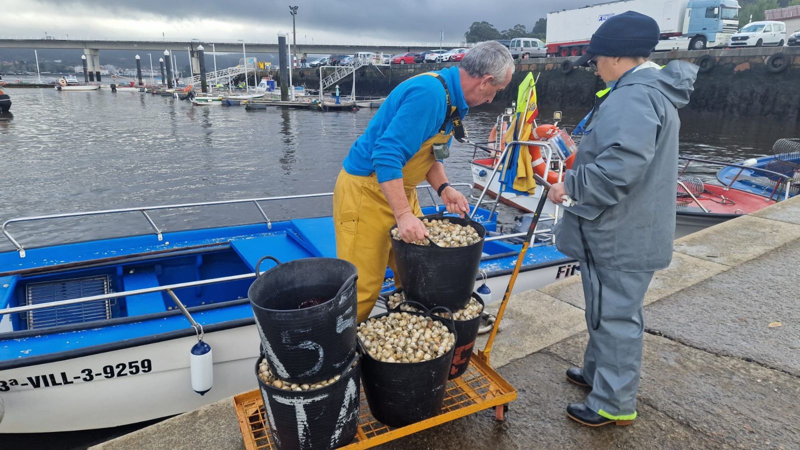 Así es el día a día en el puerto y la lonja de O Testal (Noia), donde cada vez se dan cita más mariscadores arousanos.