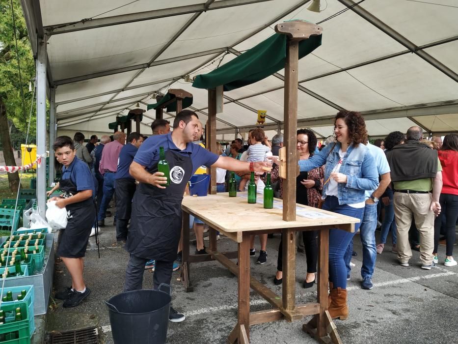 Concurso de sidra casera en Piloña