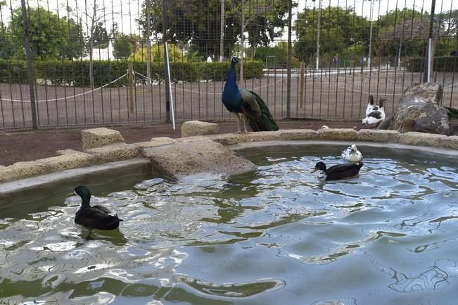 04-05-2016 TELDE. Nuevo espacio para aves en el parque de San Juan. Fotógrafo: ANDRES CRUZ