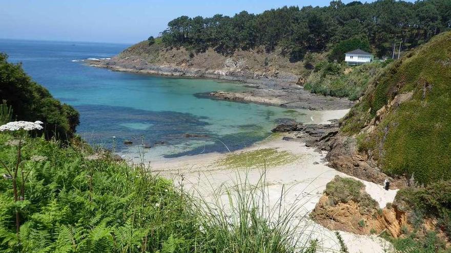 Playa de Canabal y al fondo arbolado, pinos, en la zona del Monumento Natural.