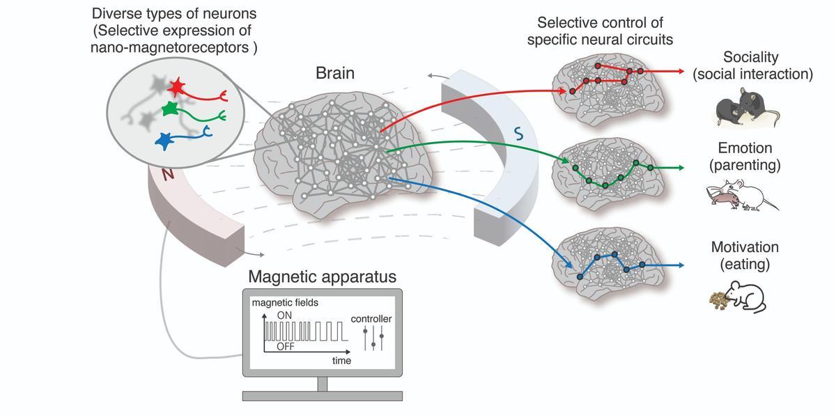 Descripción general de la tecnología nano-MIND.