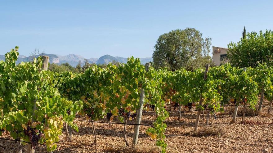 El calor se adueña del calendario