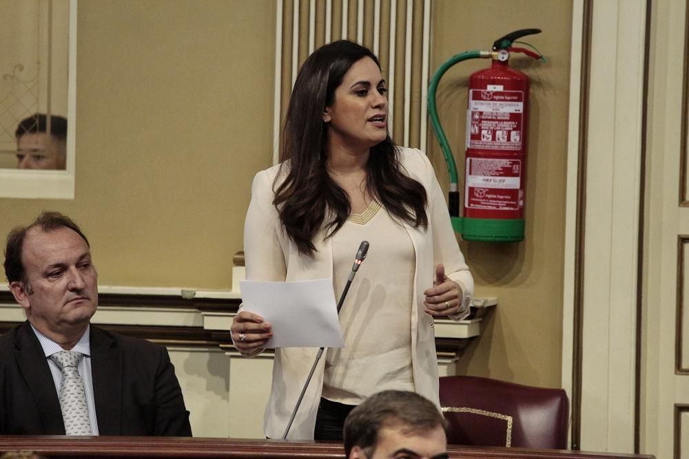 Pleno en el Parlamento de Canarias 11-02-2020  | 11/02/2020 | Fotógrafo: María Pisaca Gámez