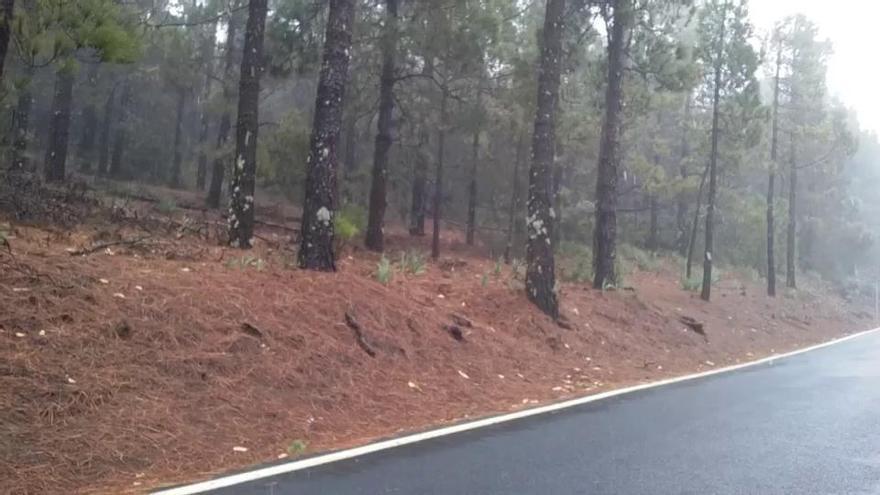 Nieva en la cumbre grancanaria