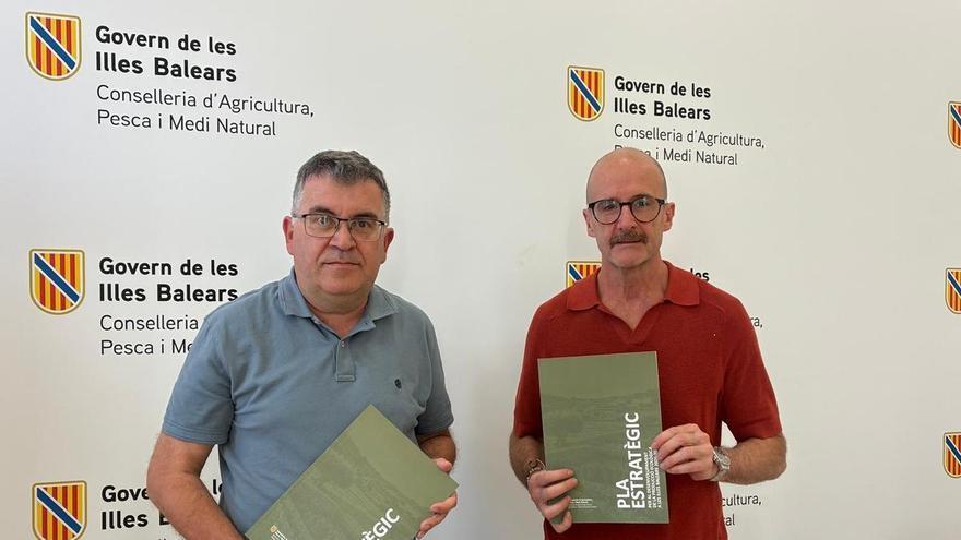 ¿Por qué Baleares es la comunidad que más producto ecológico consume de España?