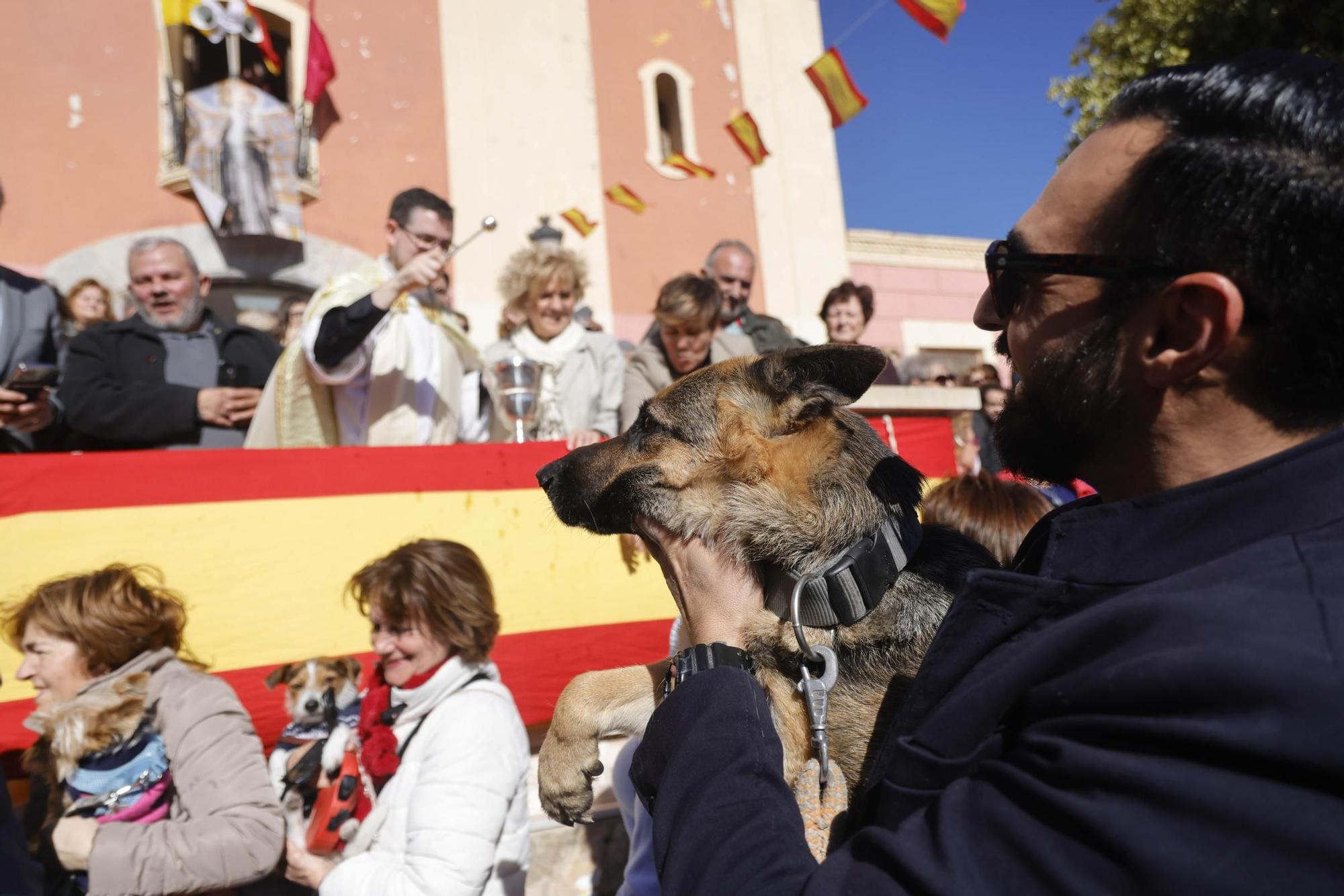 FOTOS: los mejores momentos de la bendición de animales por San Antón en Cartagena