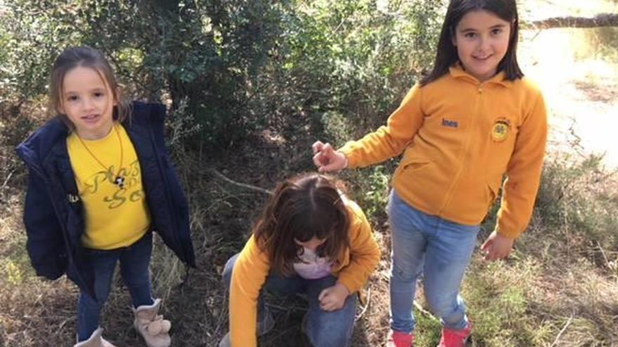 Plaza del Sol apuesta por el medio ambiente