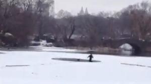 Dos turistes volien fotografiar el parc novaiorquès.