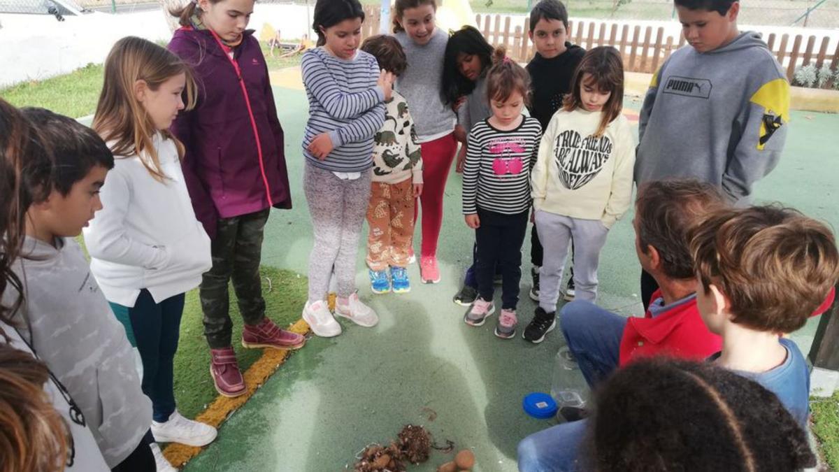 Uno de los talleres en el colegio Buscastell. | ASA