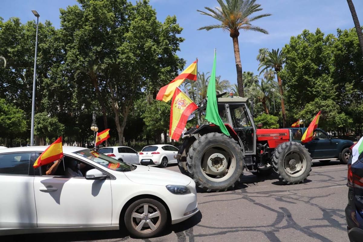 Manifestación de Vox en Córdoba contra la gestión del Gobierno