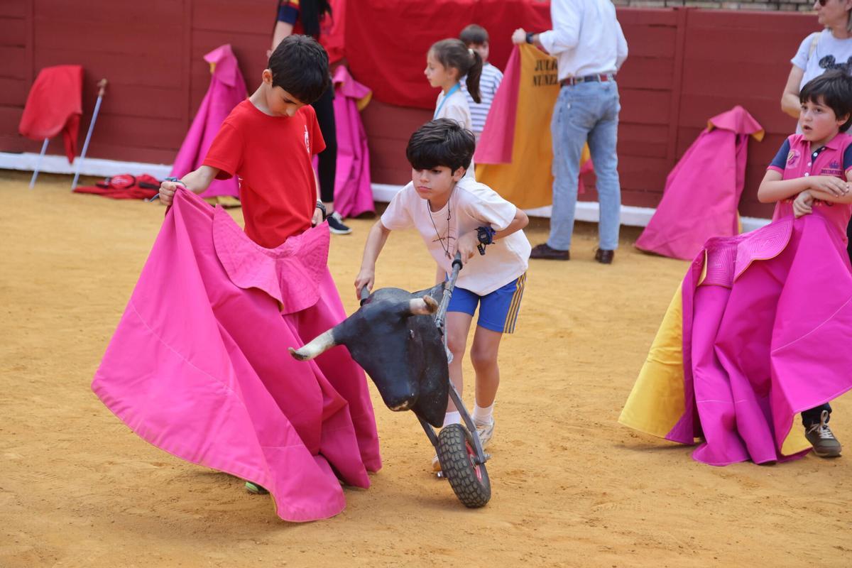 La plaza de los Califas en Córdoba abre el ruedo a la afición para vivir el toreo desde dentro La plaza de los Califas en Córdoba abre el ruedo a la afición para vivir el toreo desde dentro