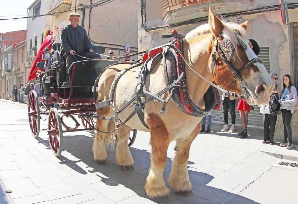 Festa de Sant Antoni de Sant Vicenç de Castellet