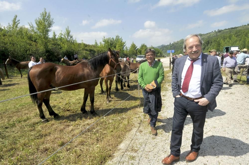 Feria de La Ascensión en Olloniego