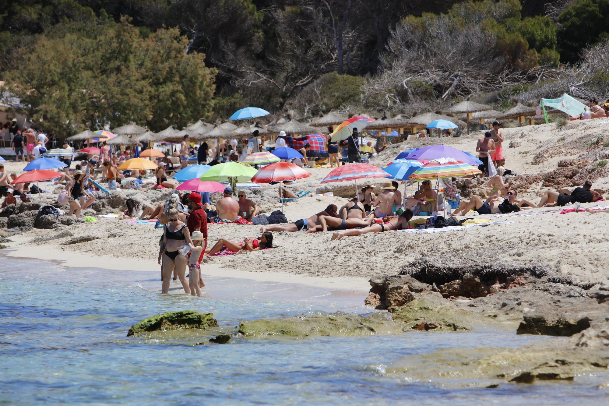 Wie im Hochsommer. So vergnügen sich schon jetzt die Urlauber an der Cala Agulla bei Cala Ratjada