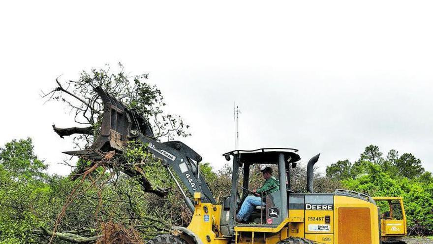  Año nuevo,   plaga nueva