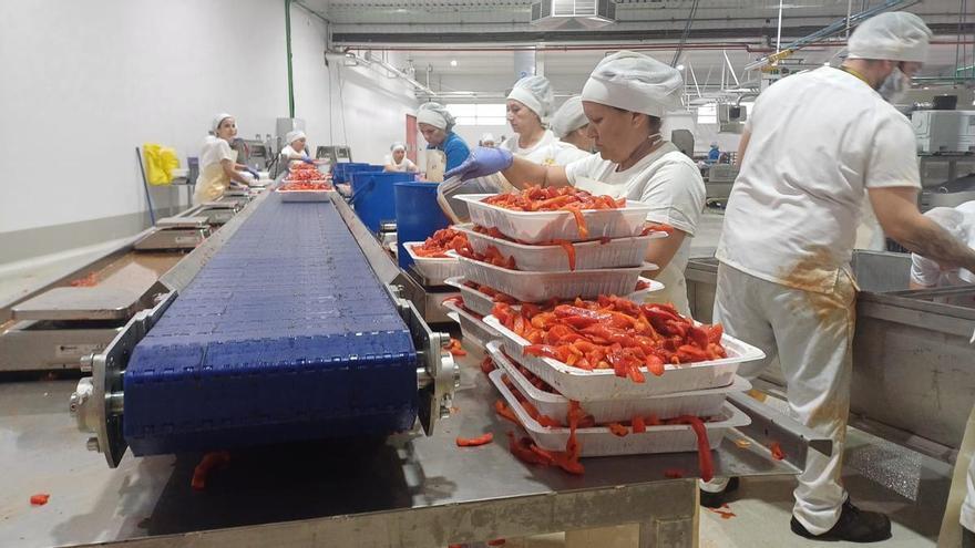 VÍDEO | La sevillana Campo Rico resurge de las cenizas