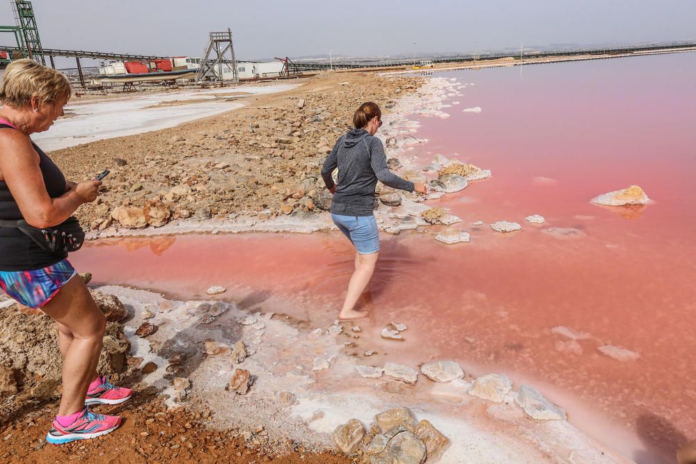 Grupo Salins ha puesto en marcha los itinerarios turísticos al interior de la salinera esta semana