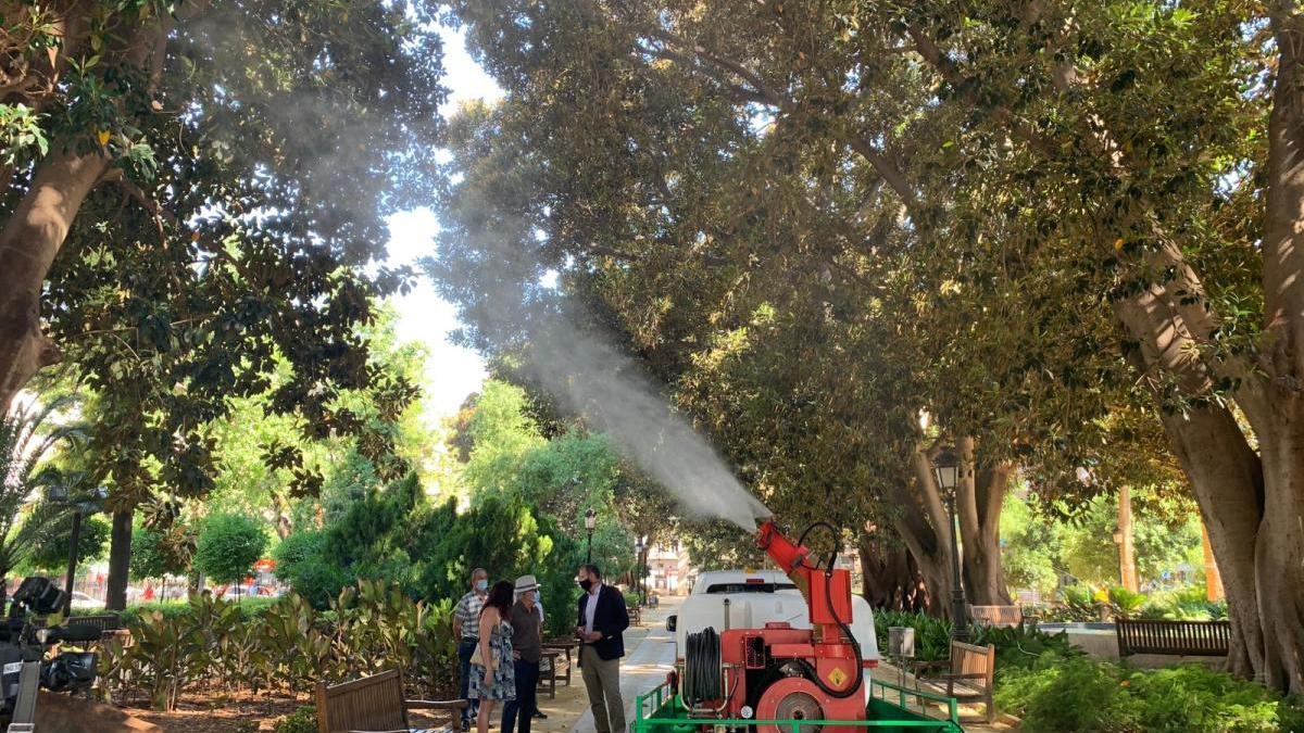 Ducha refrescante de seguridad para más de una decena de ficus de Murcia