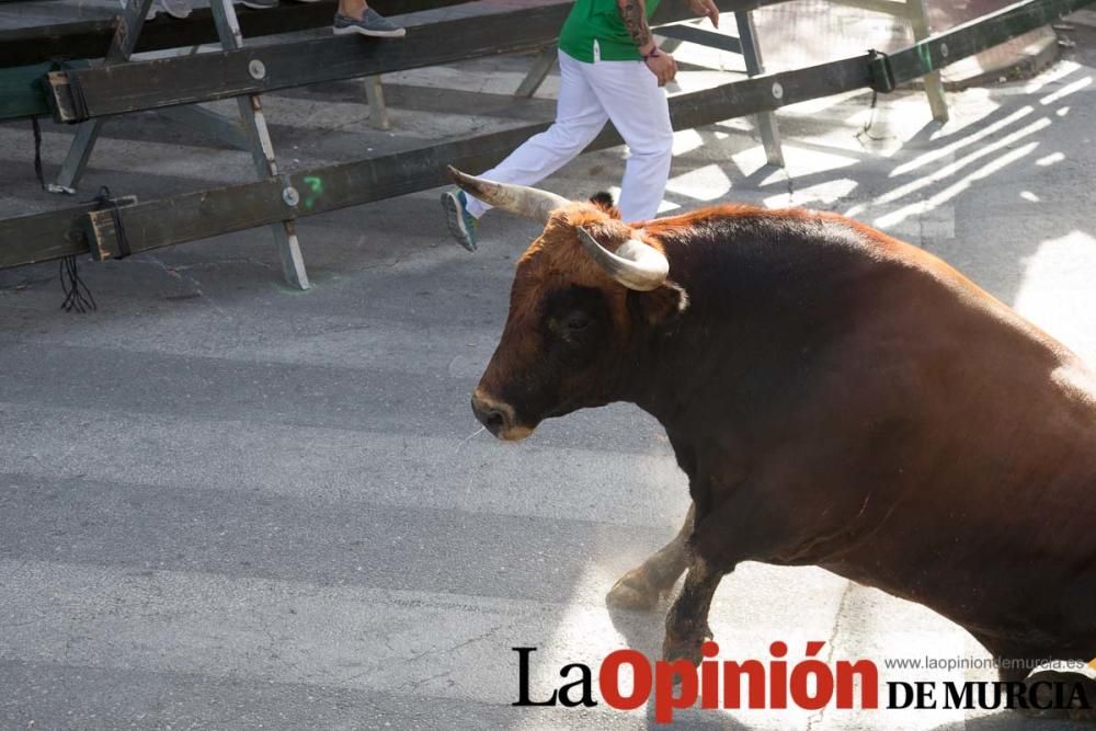 Tercer encierro en Calasparra