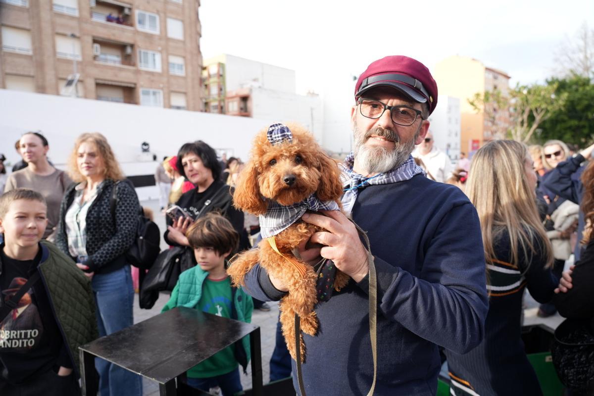 Mascotas disfrazadas en el Carnaval del Grau de Castelló. ¿Has participado? Búscate en esta divertida iniciativa